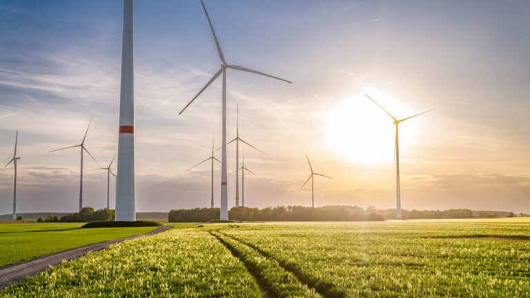 Windparkentwickler tun sich für Projekterfolg zusammen
