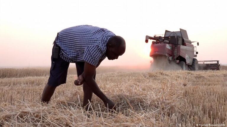 Simbabwe: Landrückgabe an weiße Farmer sorgt für Skepsis