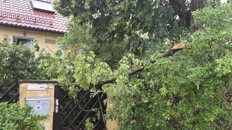 Unwetter in Bayern: Entwurzelte Bäume und umgeknickte Strommasten