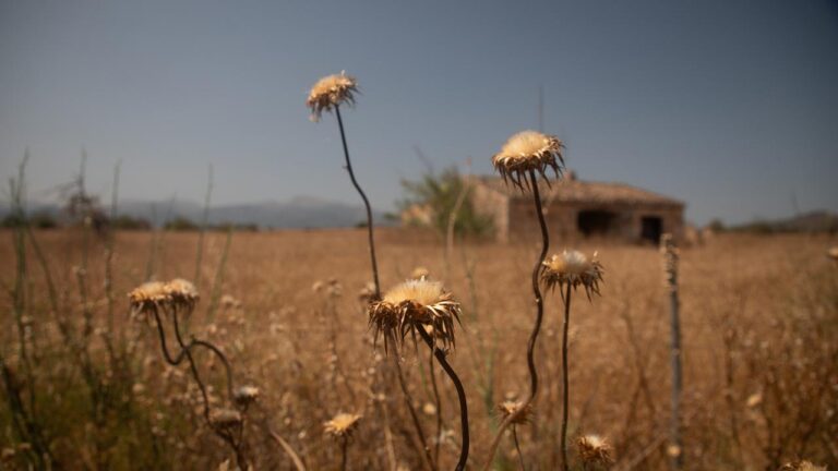 Warum das Worst Case Szenario des Weltklimarats angepasst wurde
