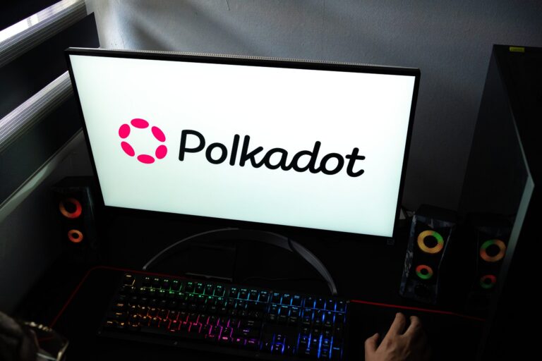 Dieses Referendum könnte Polkadot nun massiv verändern