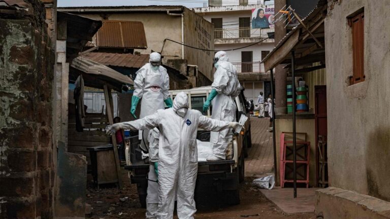 Deutscher Arzt beklagt zögerliche Ebola Forschung