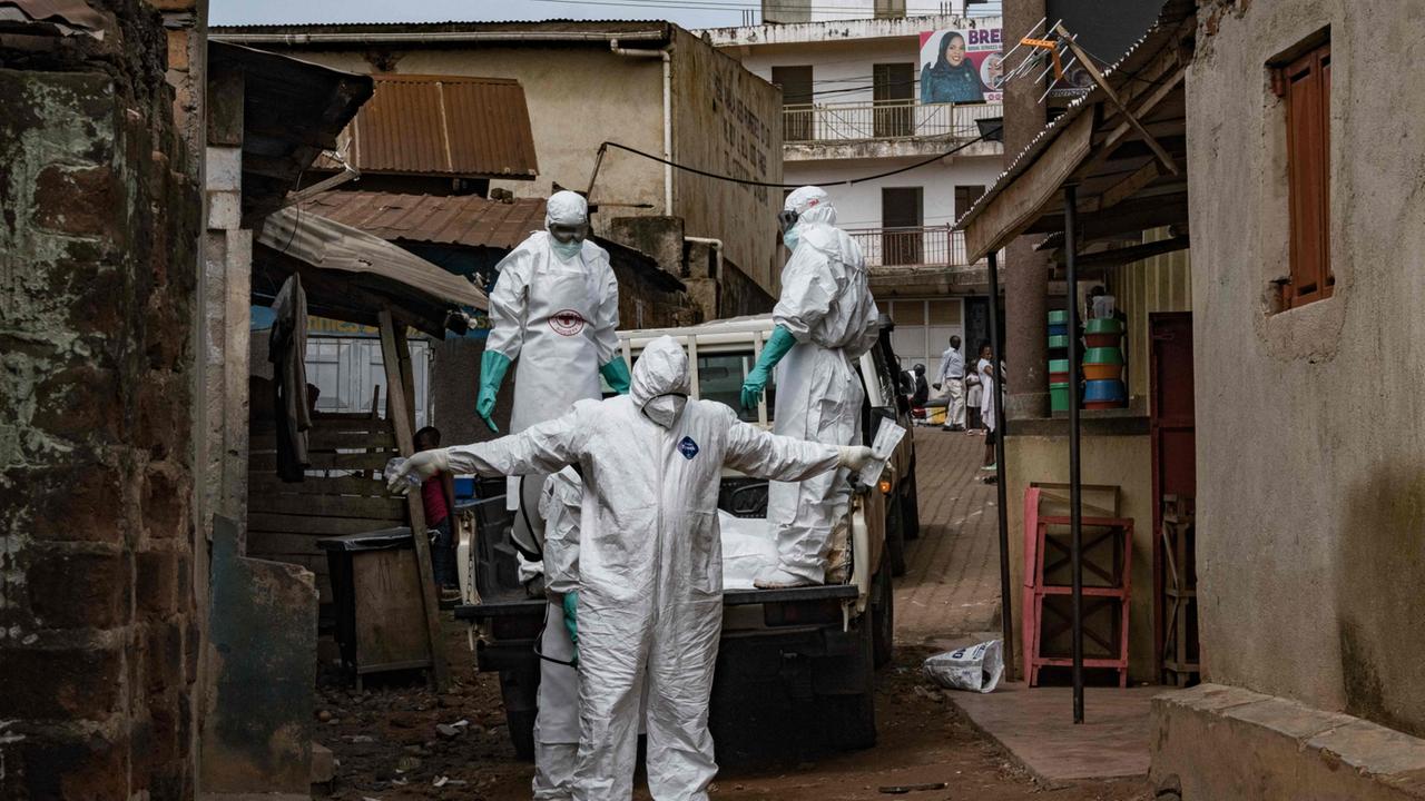 Deutscher Arzt beklagt zögerliche Ebola Forschung