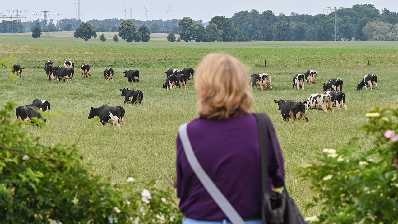 Brandenburger Landpartie: Mehr als 130 Höfe und Betriebe öffnen für Besucher