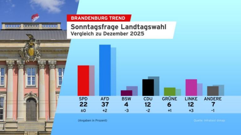Bildergalerie: BrandenburgTrend in Grafiken