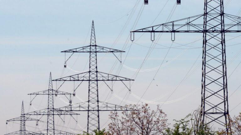 Freileitung statt Erdkabel? Energiewirtschaft drängt auf klare Regeln beim Netzausbau
