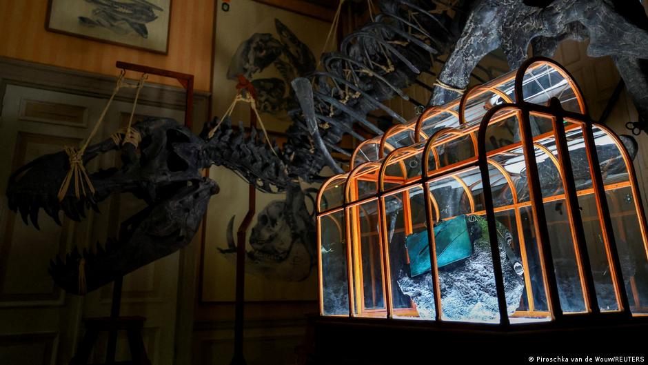 T Rex Ledertasche aus dem Labor: Versteigerung abgeblasen