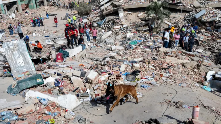 Rettungskräfte suchen weiter: In La Guaira riecht es nach Tod im Erdbebengebiet
