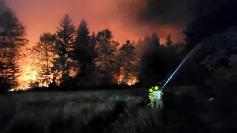 Waldbrand wütet in Bayern, Autobahn gesperrt