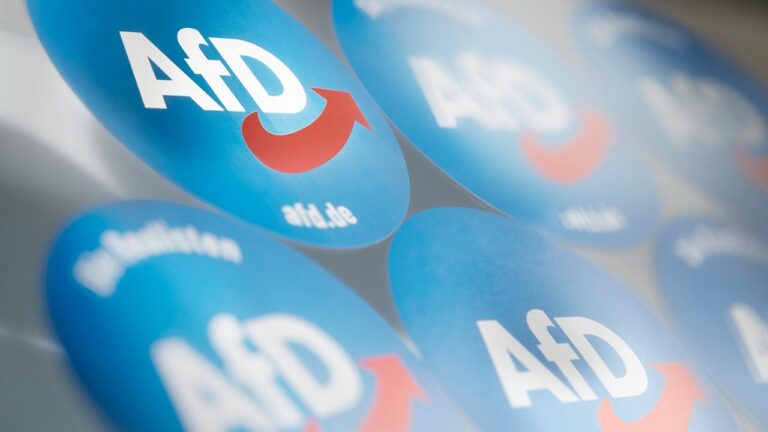 AfD Bundesvorstand verbietet Zusammenarbeit mit Politikberater