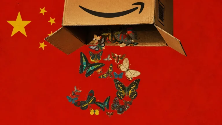 Claude Fable 5 Update: Amazon, China und die Zukunft der EU