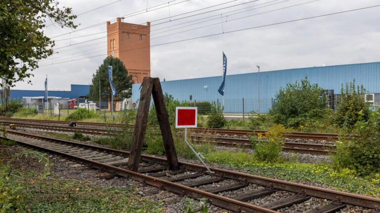 Infrastruktur: Warum Hessen stillgelegte Bahnstrecken reaktiviert