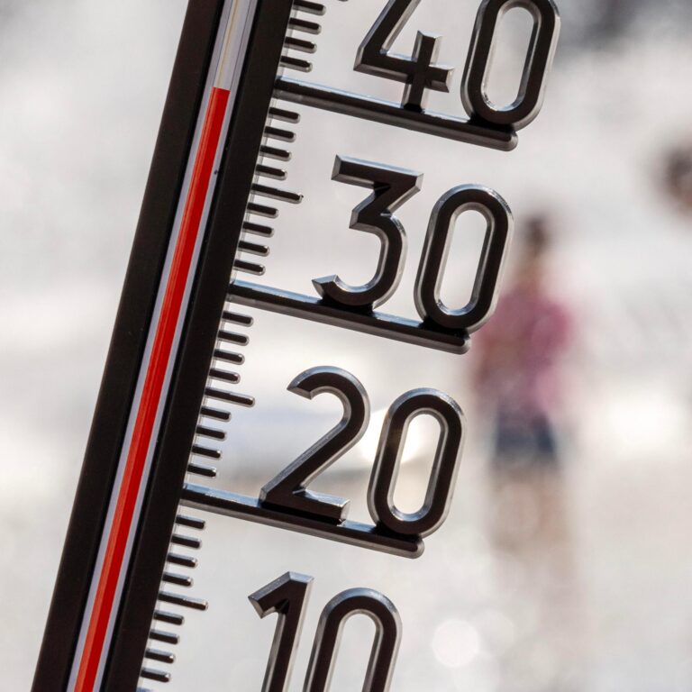 Rekordtemperaturen: Hat der Bund eine Hitzestrategie?