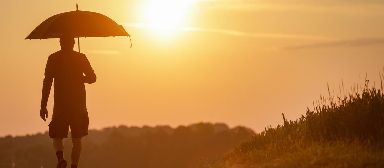 Hitze Liveblog: Bis zu 42 Grad erwartet