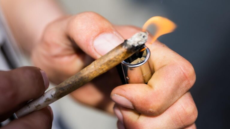 EU Drogenbericht: Cannabis bleibt die am häufigsten konsumierte Droge
