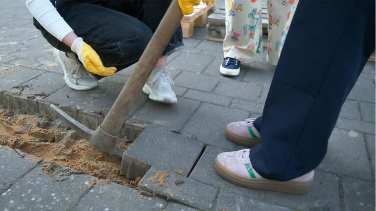 Entsiegelung von Flächen als Wettbewerb: Aus Grau wird Grün