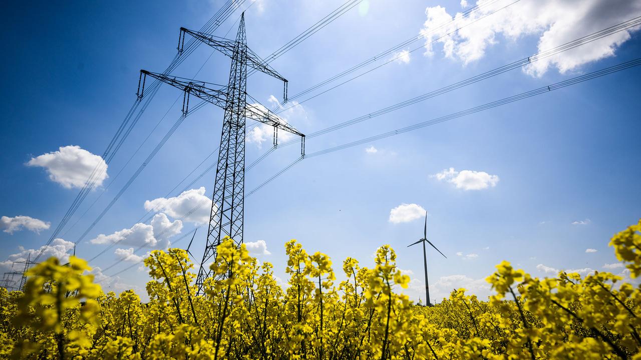 Analyse der Stromnetzbetreiber: Rekordrenditen und massive Kritik