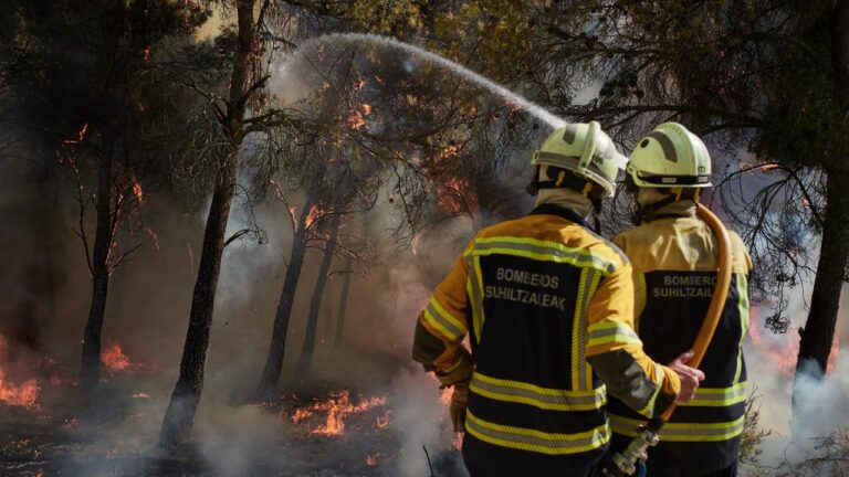 Waldbrandgefahr in Europa: EU plant die Stationierung von Feuerwehrleuten