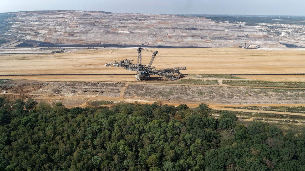Hambacher Forst steht künftig unter Naturschutz