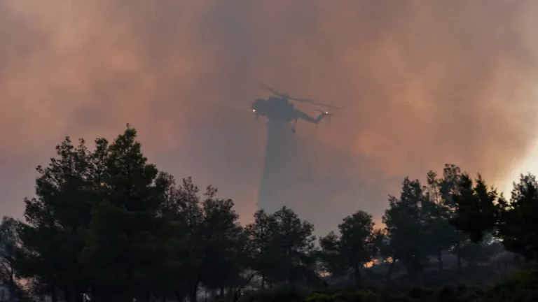 Waldbrand auf Paros: Griechische Insel steht in Flammen, Menschen flüchten an den Strand