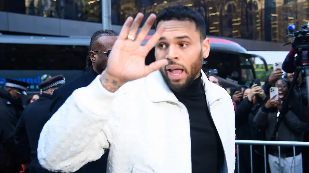 Das Blut hat mich geschockt: Rapper Chris Brown verliert Prozess um Hundebisse