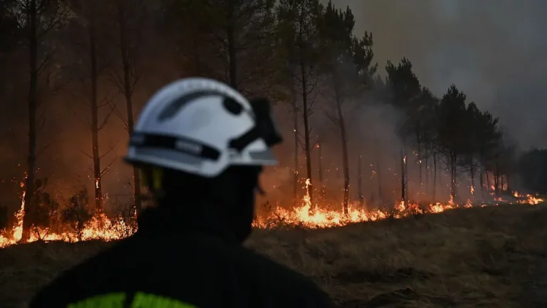 Feuer bei Bordeaux wütet weiter: Großbrand könnte noch Monate andauern