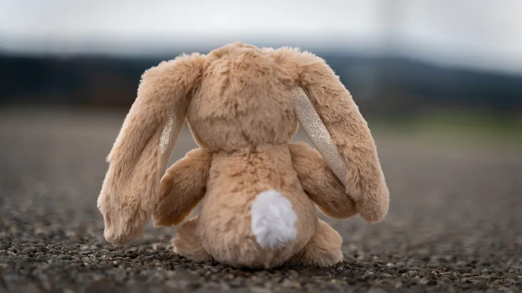 Scheinkindoperationen wichtig: Polizei ermittelt in immer mehr Fällen von Kindesmissbrauch
