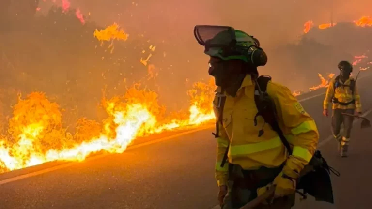 Erste Evakuierte kehren zurück: Tödlicher Waldbrand in Südspanien weitgehend unter Kontrolle