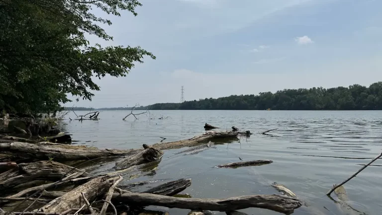 Unfall im Scioto River in den USA: Fünf Menschen sterben bei missglücktem Rettungsversuch aus dem Fluss