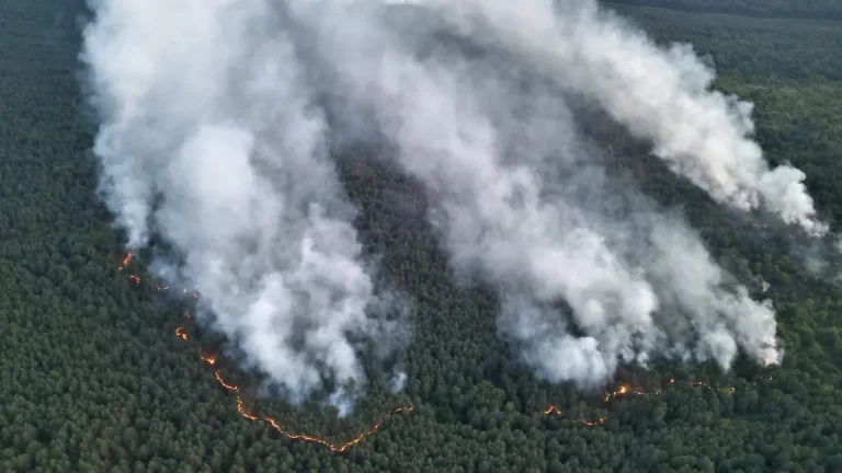 Auf munitionsbelastetem Terrain: Feuerwehr kann Brand im Müritz Nationalpark nicht eindämmen