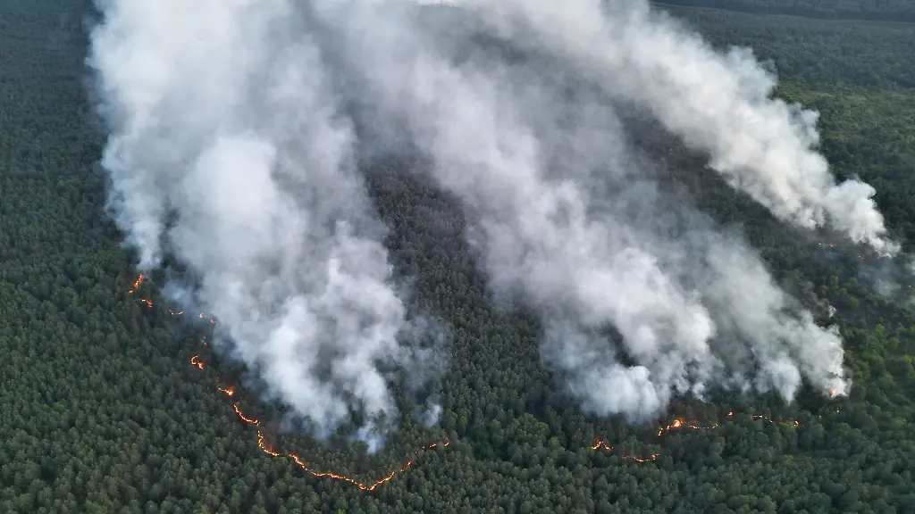 Auf munitionsbelastetem Terrain: Feuerwehr kann Brand im Müritz Nationalpark nicht eindämmen