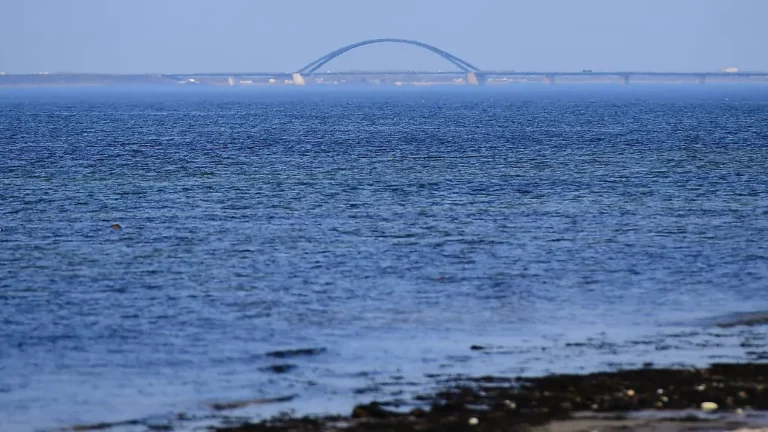 Gleiches Tier wie vor Dänemark? Wal vor der Küste Schleswig-Holsteins gesichtet