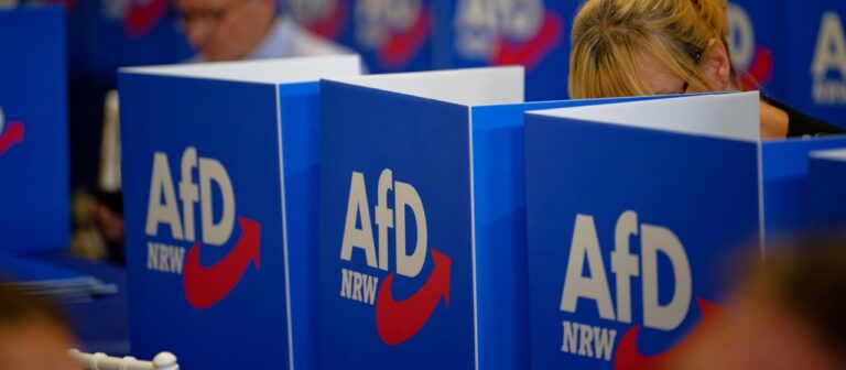 Machtkampf: AfD Bundesvorstand setzt Untersuchungskommission ein