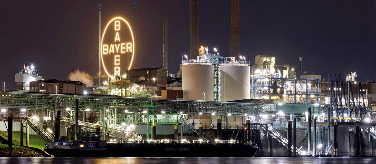 Kurserholung: Bayer Aktie schafft es an die DAX Spitze