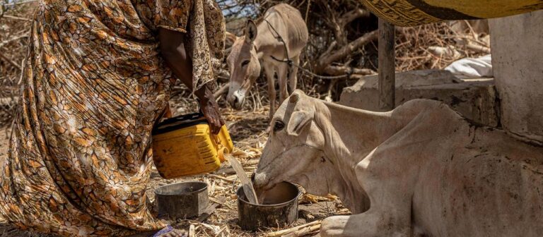 UN Report: Kleine Fortschritte, doch der Hunger bleibt