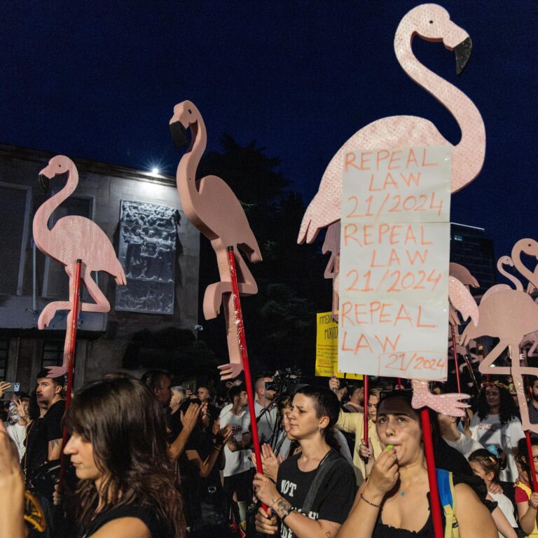Albanien: Bei den Flamingo Protesten geht es nicht nur um Naturschutz