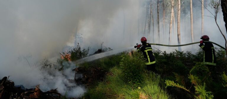 Hitzewelle schürt Sorge vor der Ausbreitung von Waldbränden in Europa