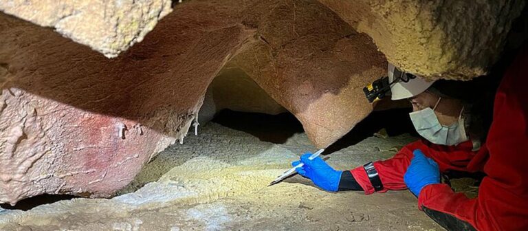 Erstmals DNA von Steinzeitmenschen an Höhlenwänden entdeckt