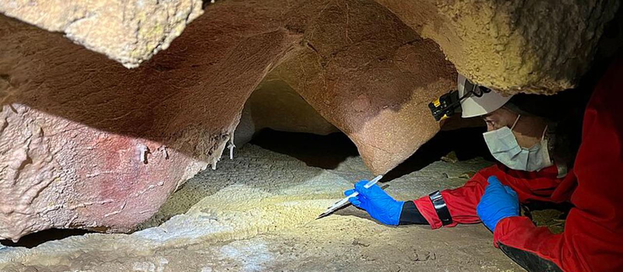 Erstmals DNA von Steinzeitmenschen an Höhlenwänden entdeckt