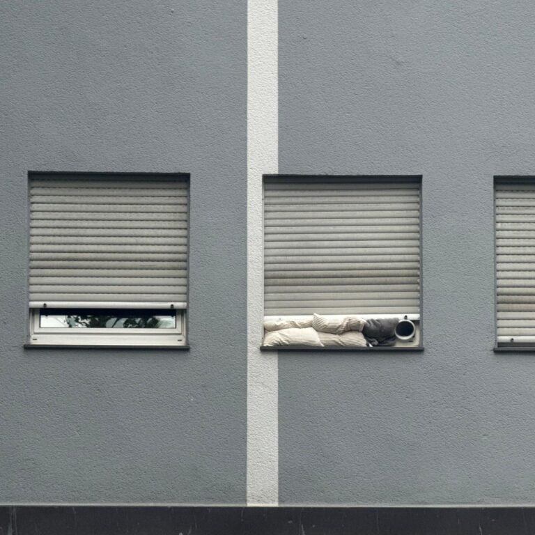 Extremwetter und Leben mit der Hitze: Es gibt viele Forderungen an die Politik