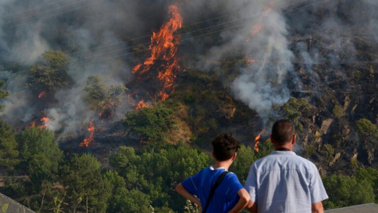 Mehr Waldbrände in Europa: Ursachen, Klimawandel und Prävention