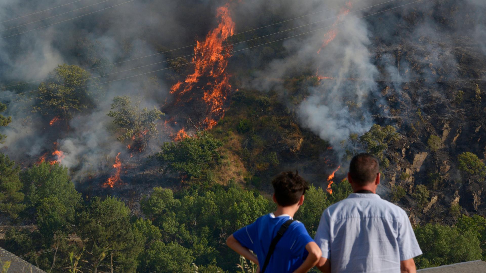 Mehr Waldbrände in Europa: Ursachen, Klimawandel und Prävention