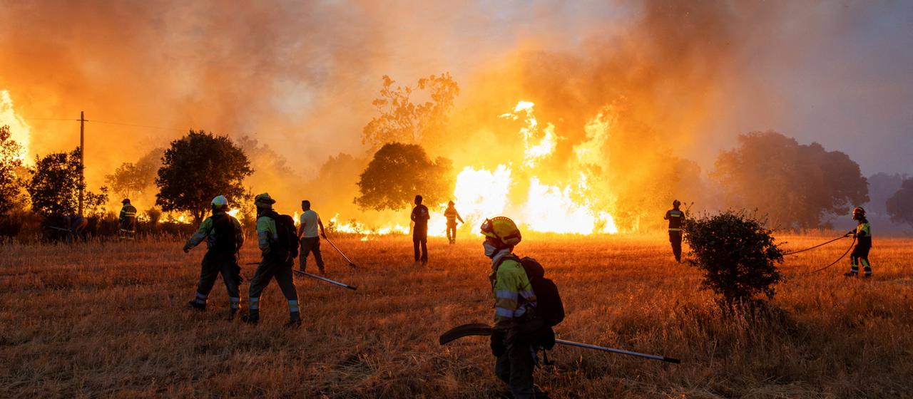 Studie belegt Einfluss des Klimawandels auf Feuerwetter