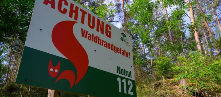 Waldbrandgefahr steigt am Wochenende teils auf die höchste Warnstufe