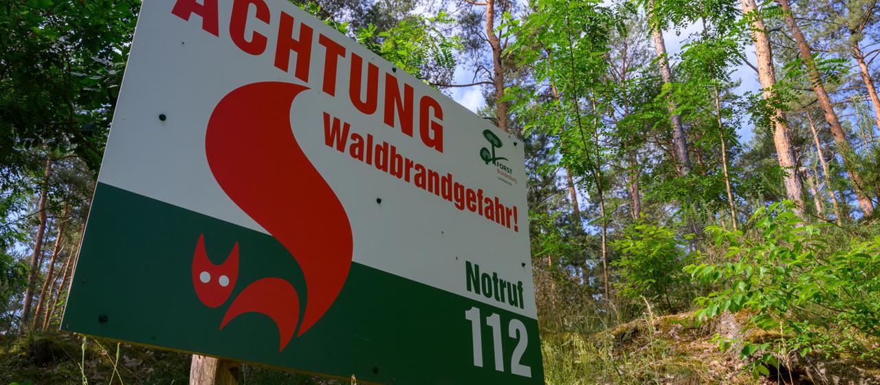 Waldbrandgefahr steigt am Wochenende teils auf die höchste Warnstufe