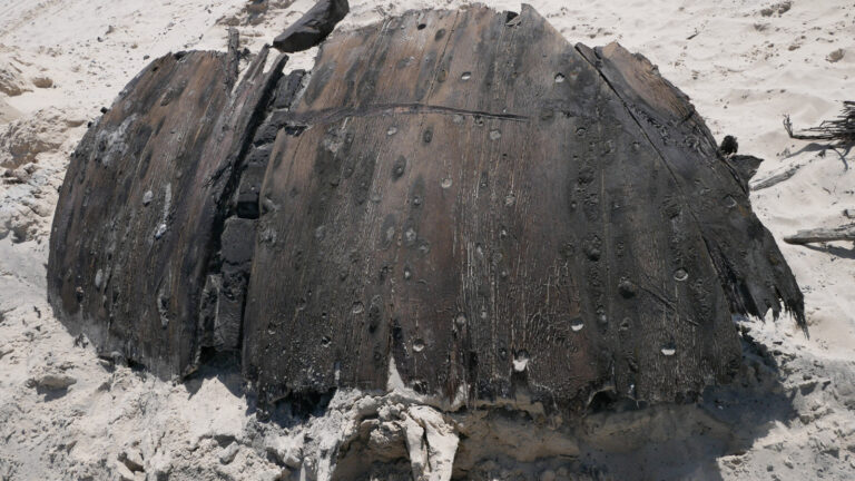 Historisches Schiffswrack bei Seekabelarbeiten für Dolwin 4 entdeckt