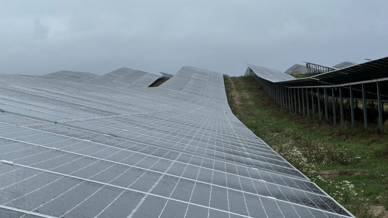 Berliner Stadtwerke und Naturstrom teilen sich Solarpark in Brandenburg