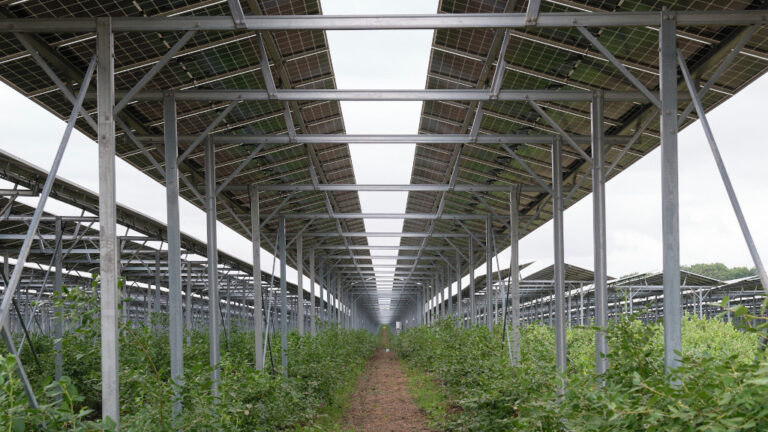 Größte Agri PV Anlage in NRW eingeweiht