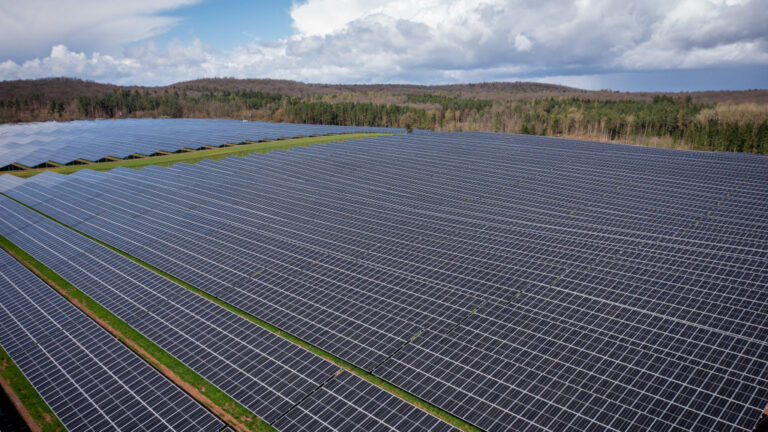 Solarparkauktion: Nachfrage ist leicht rückläufig, bleibt aber hoch