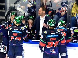 Von Eisbären zum DEB: Cheftrainer Neuling Rankel steigt direkt zum Bundestrainer auf